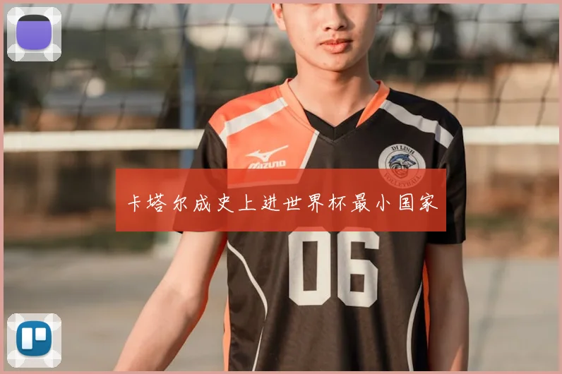 卡塔尔成史上进世界杯最小国家