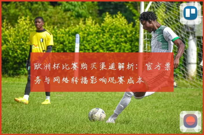 欧洲杯比赛购买渠道解析：官方票务与网络转播影响观赛成本