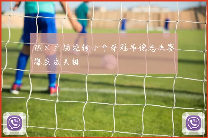 热火主场逆转小牛夺冠韦德总决赛爆发成关键