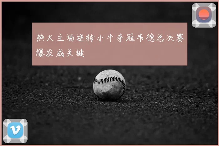 热火主场逆转小牛夺冠韦德总决赛爆发成关键