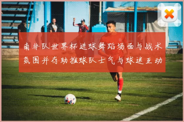 南非队世界杯进球舞蹈场面与战术氛围并存助推球队士气与球迷互动